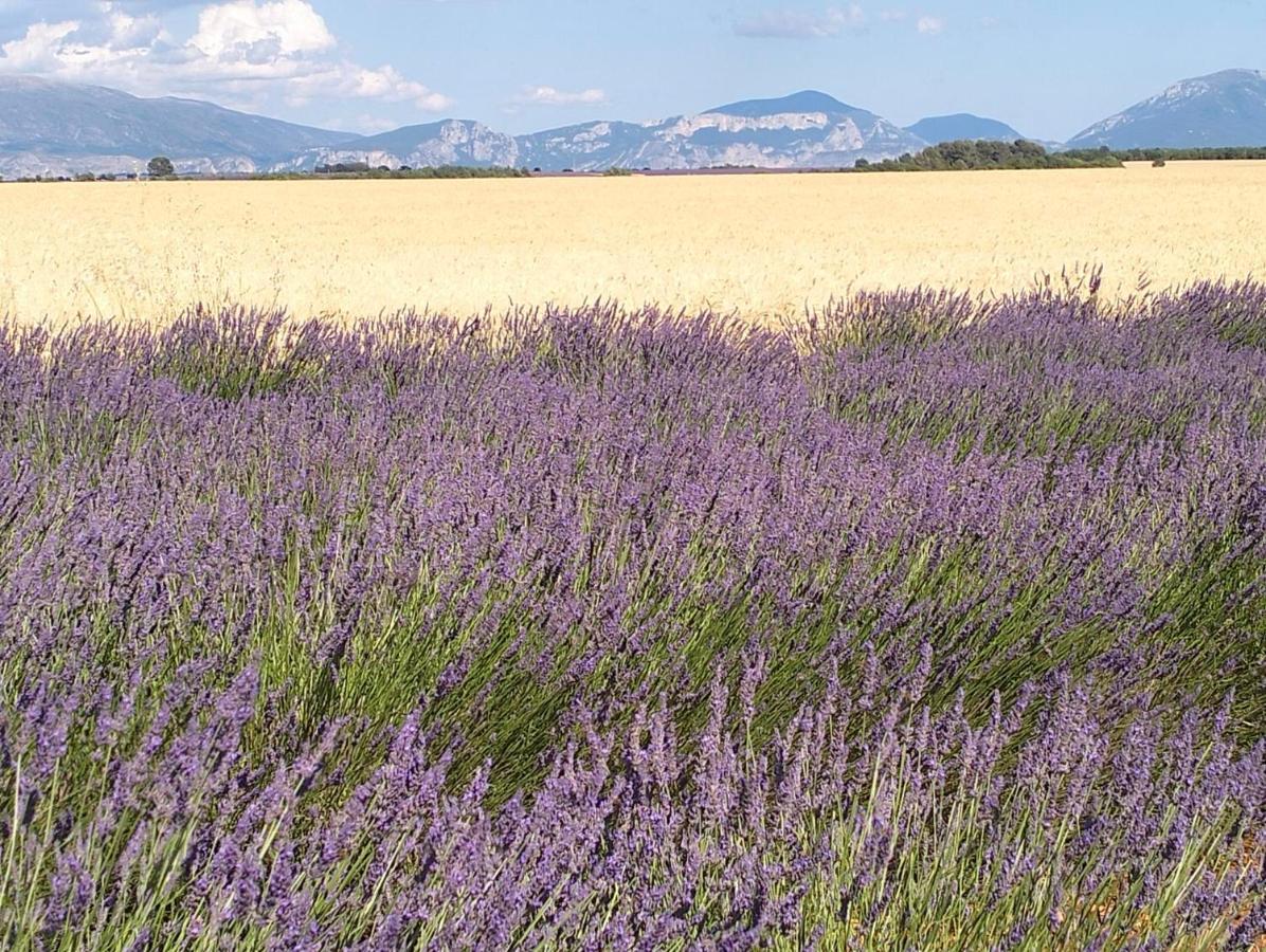 La Provence Vous Attend***!!! - 1Er Etage Digne-les-Bains Zewnętrze zdjęcie