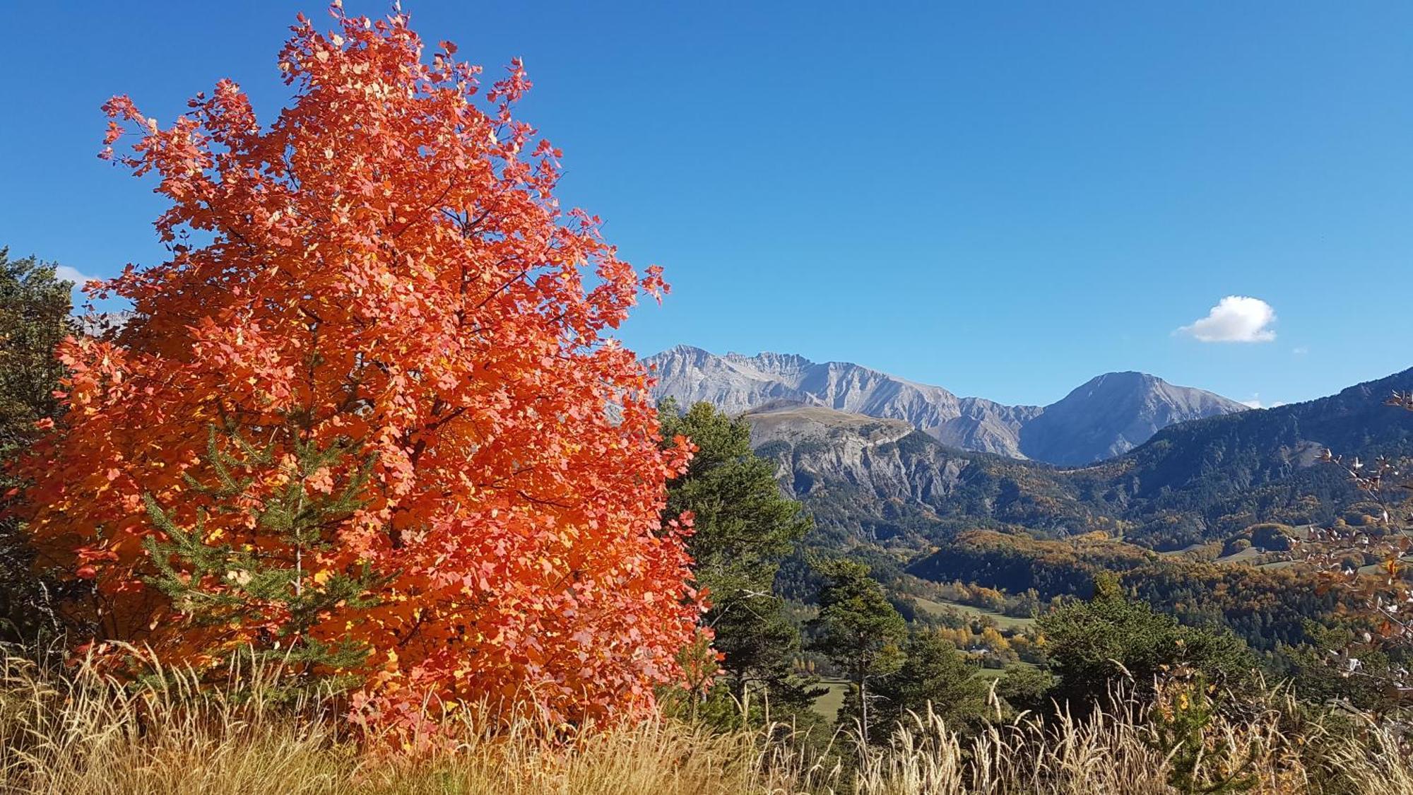 La Provence Vous Attend***!!! - 1Er Etage Digne-les-Bains Zewnętrze zdjęcie